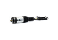 Air Spring Strut
