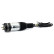 Air Spring Strut