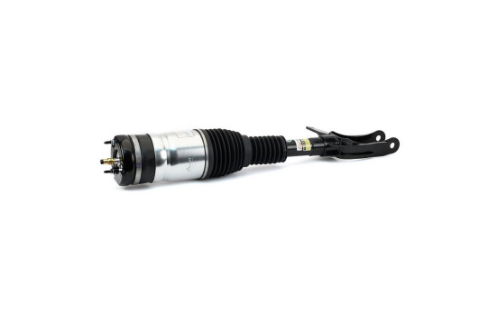 Air Spring Strut