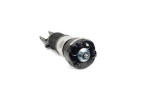 Air Spring Strut