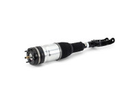 Air Spring Strut