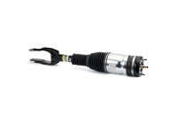 Air Spring Strut