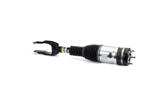 Air Spring Strut