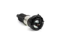 Air Spring Strut