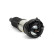 Air Spring Strut