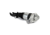 Air Spring Strut