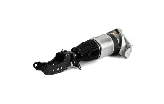 Air Spring Strut, Image 2