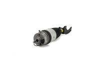 Air Spring Strut