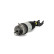 Air Spring Strut