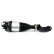 Air Spring Strut, Thumbnail 4
