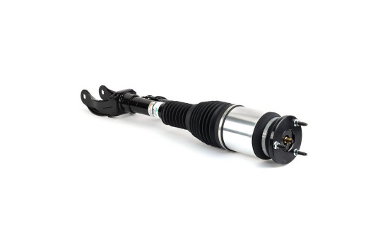 Air Spring Strut