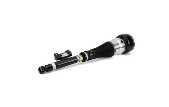 Air Spring Strut, Image 2