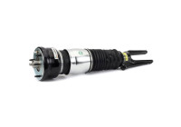 Air Spring Strut