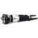 Air Spring Strut