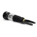 Air Spring Strut, Thumbnail 2