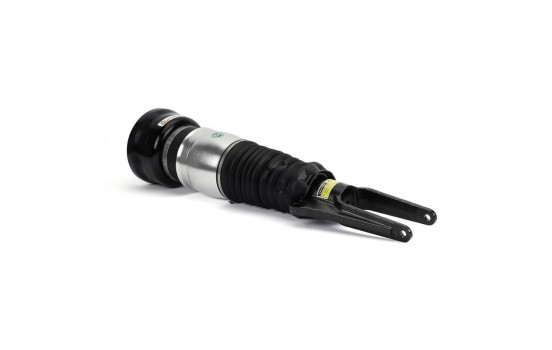 Air Spring Strut, Image 2