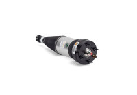 Air Spring Strut