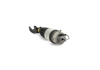 Air Spring Strut