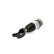 Air Spring Strut, Thumbnail 2