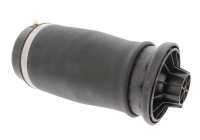 Air Spring, suspension