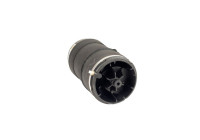 Air Spring, suspension