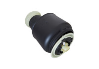 Air Spring, suspension
