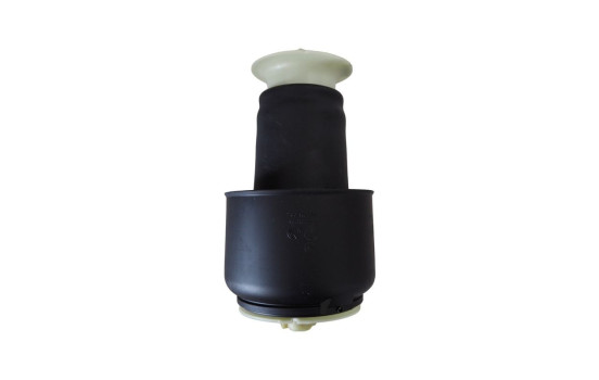 Air Spring, suspension, Image 2
