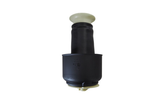 Air Spring, suspension, Image 2