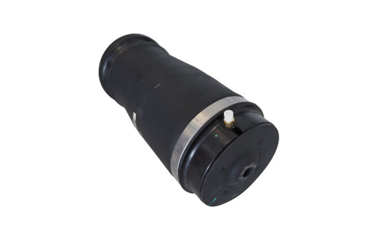 Air Spring, suspension