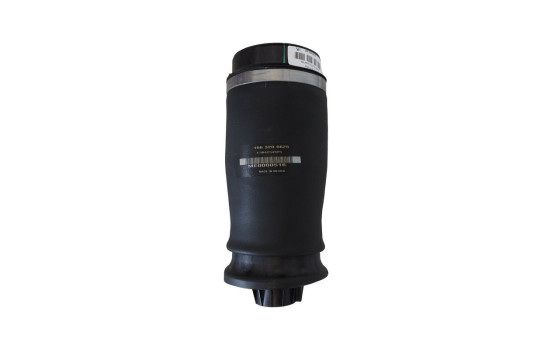 Air Spring, suspension, Image 2