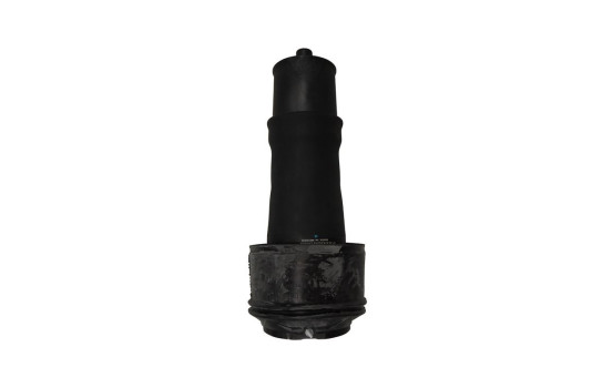 Air Spring, suspension, Image 2