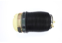 Air suspension, chassis