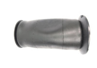 Air suspension, chassis