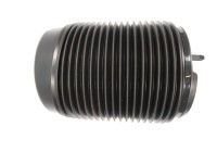 Air suspension, chassis