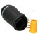 Bellow, air suspension, Thumbnail 2