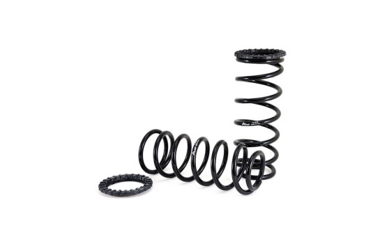 Chassis, springs