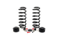 Chassis, springs