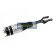 Pneumatic strut, Thumbnail 2