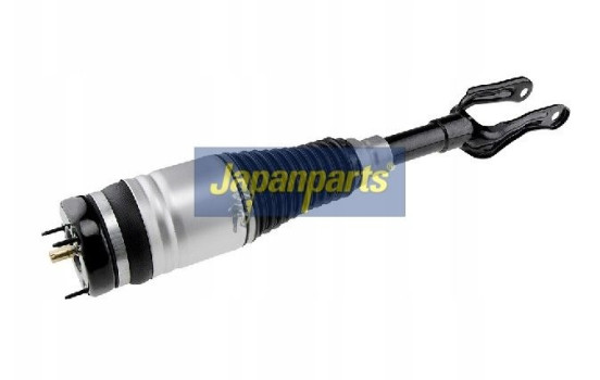 Pneumatic strut, Image 2