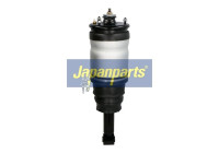 Pneumatic strut