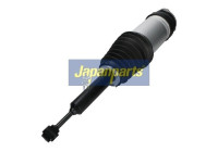 Pneumatic strut