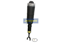 Pneumatic strut