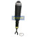 Pneumatic strut