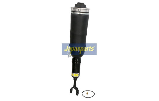 Pneumatic strut