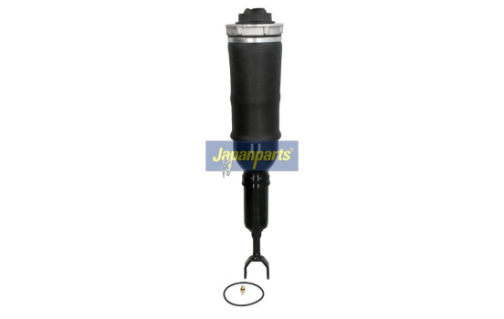 Pneumatic strut, Image 2