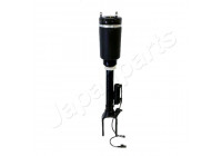 Pneumatic strut