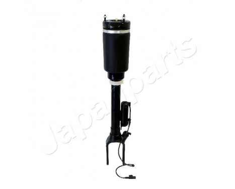 Pneumatic strut