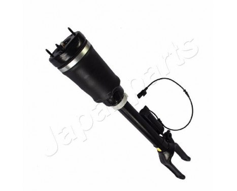 Pneumatic strut, Image 2