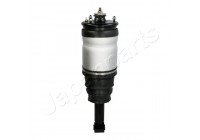 Pneumatic strut