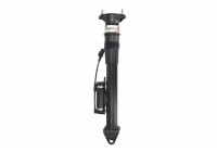 Pneumatic strut